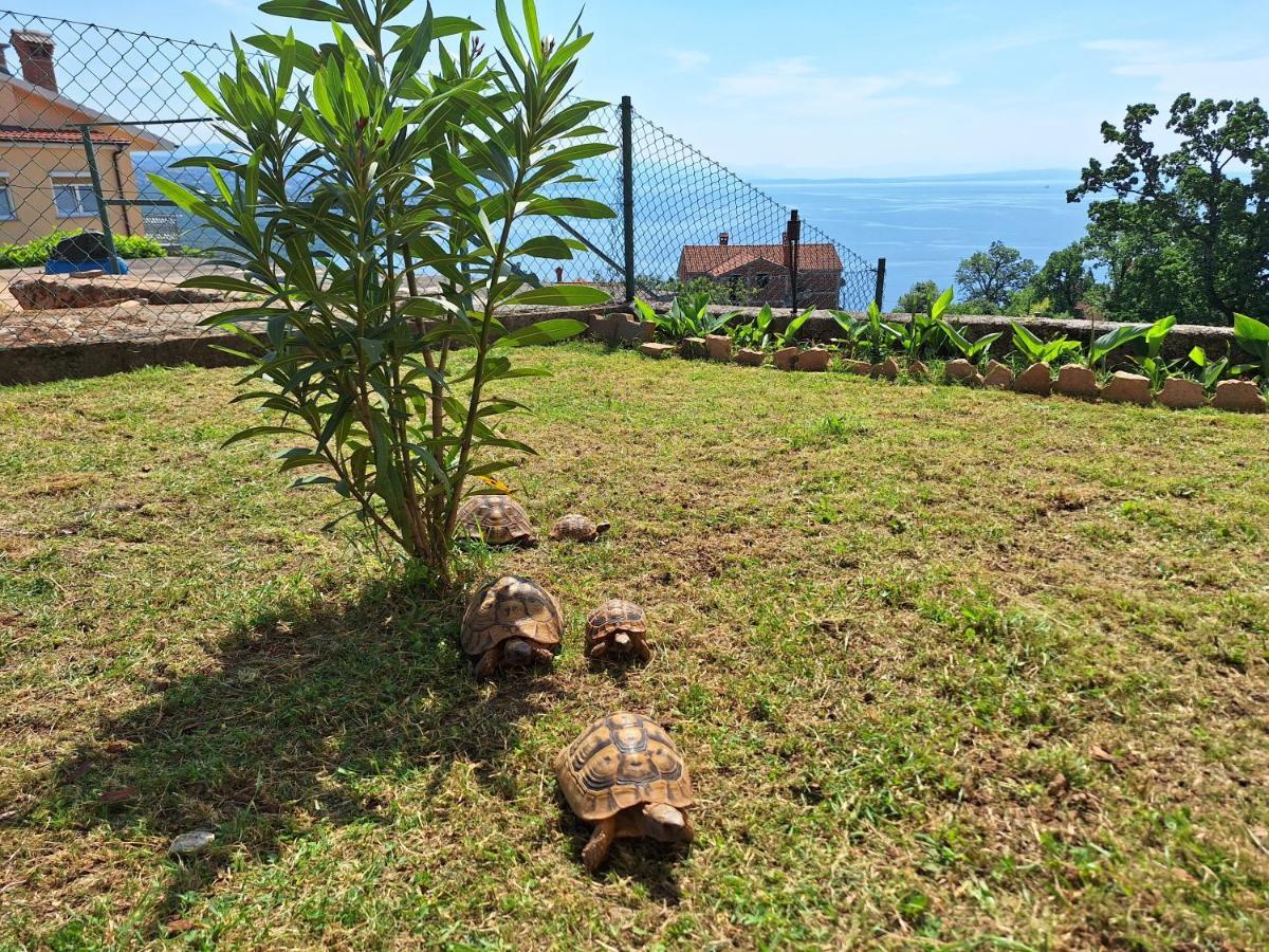 Apartmani Marini Opatija Dış mekan fotoğraf